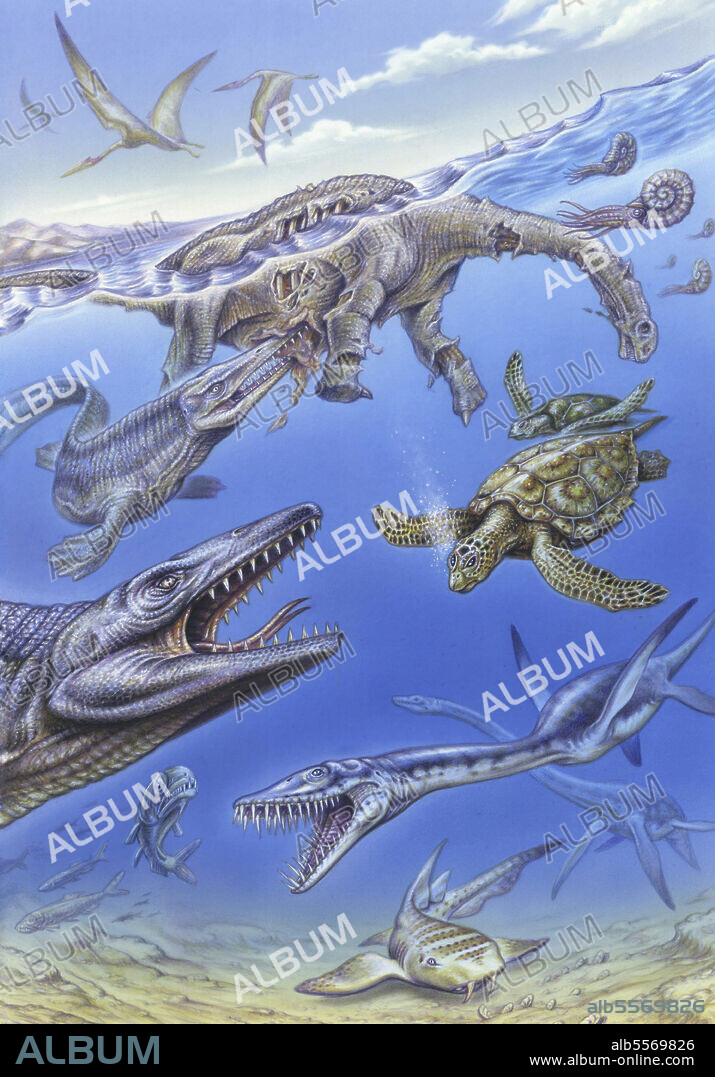 Reconstruction of the fauna in Lembe's Ocean during the Late Cretaceous, based on the Coniacian. Pictured are; Angolasaurus, Tylosaurus, Angolachelys, Angolatitan adamastor, Elasmosaurid, Ptychodus and Enchodus. Acrylic painting by brush.
