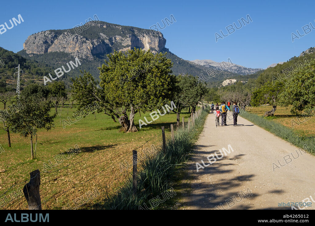 Hiking group in front of Puig de s'Alcadena (815 meters) and Estorell Road, Lloseta, a natural site in the Sierra de Tramuntana, Majorca, Spain.