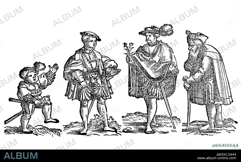 Johann Dryander, Der gantzen Artzenei, 1542