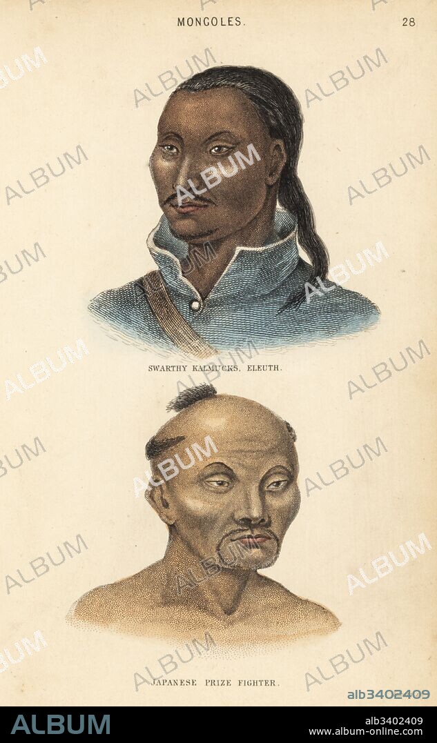 Kalmyk man and Japanese sumo wrestler with chonmage (topknot) and beard. Swarthy Kalmucks, Eleuth and Japanese prizefighter. Mongoles. Handcoloured steel engraving by Lizars after an illustration by Charles Hamilton Smith from his Natural History of the Human Species, Edinburgh, W. H. Lizars, 1848.