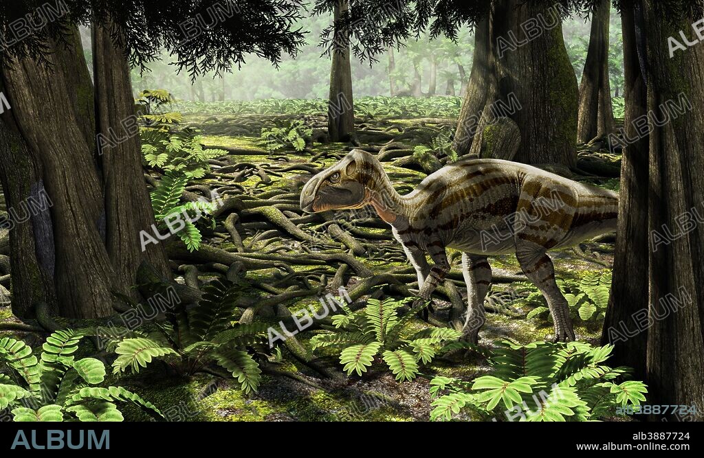 An example of island dwarfism, the rhabdodontid iguanodont Zalmoxes robustus, from the Late Cretaceous of Romania.