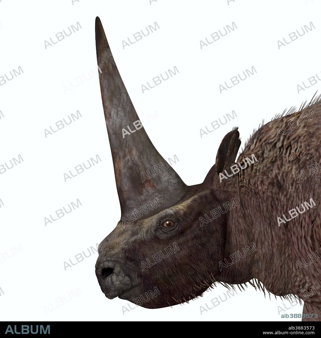 Elasmotherium is an extinct mammal that lived in the Pleistocene Period of Russia, Ukraine, and Moldova.
