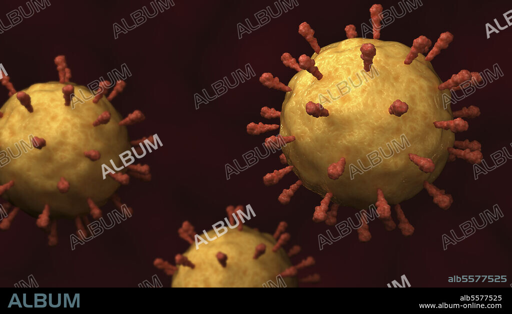 Conceptual biomedical illustration of rubeola measles virus.