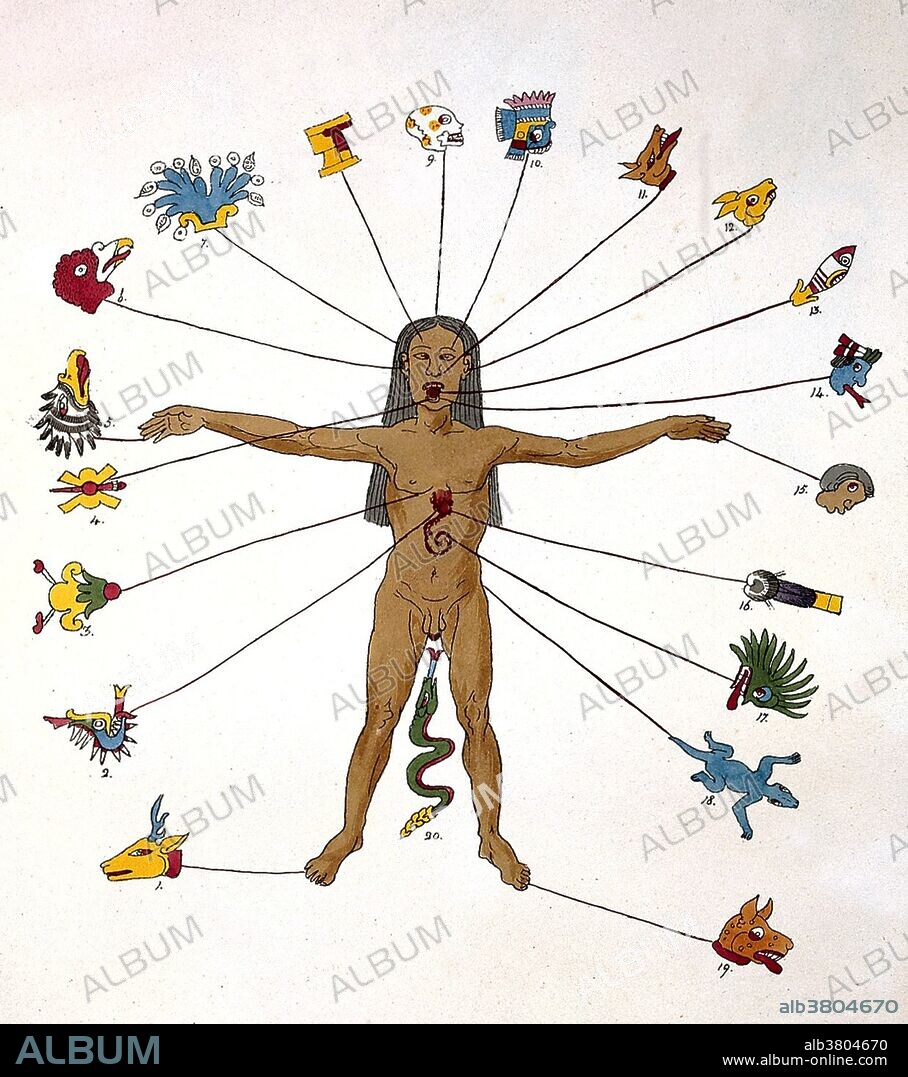 Aztec zodiac man, facsimile of original painting or codex. Medical astrology is an ancient medical system that associates various parts of the body, diseases, and drugs as under the influence of the sun, moon, and planets, along with the astrological signs. Each of the astrological signs is associated with different parts of the human body. The Aztec calendar is also called by name of Tonalpohualli. There is a division between the goddesses and the gods, that gives a special meaning to every single day of the Aztec calendar. There are 20 different glyphs of the Aztec signs that are ruled by a certain god or goddess that has influence over an individual's behavior. The Aztec had a well established birth sign structure, much like modern astrology. Babies born during certain days were expected to develop into sickly children and die early of disease. Conversely babies born on other days could expect favor from the gods and live happy, disease free lives. Should one of these favored people develop illness, he or she surely must have forgotten to properly pay homage to the gods. Published: R. Havell & Colnaghi London, 1831.