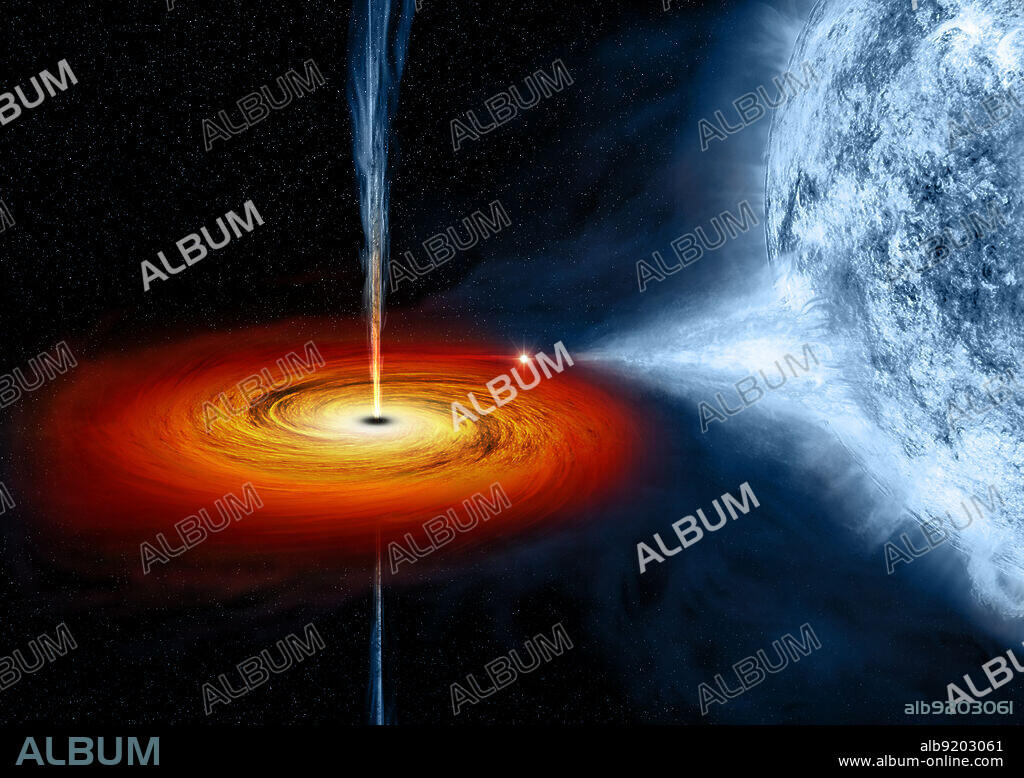 Cygnus X-1 is located near large active regions of star formation in the Milky Way. An artist's illustration depicts what astronomers think is happening within the Cygnus X-1 system. Cygnus X-1 is a stellar-mass black hole, a class of black holes that comes from the collapse of a massive star. The black hole pulls material from a massive, blue companion star toward it. This material forms a disk (shown in red and orange) that rotates around the black hole before falling into it or being redirected away from the black hole in the form of powerful jets. Cygnus X-1 is a well-known black hole and galactic X-ray source in the constellation Cygnus. It was discovered in 1964 during a rocket flight and is one of the strongest X-ray sources seen from Earth. Cygnus X-1 was the first X-ray source widely accepted to be a black hole candidate and it remains among the most studied astronomical objects in its class. It is now estimated to have a mass about 14.8 times the mass of the Sun and has been shown to be too compact to be any known kind of normal star or other likely object besides a black hole. Release date November 17, 2011.
