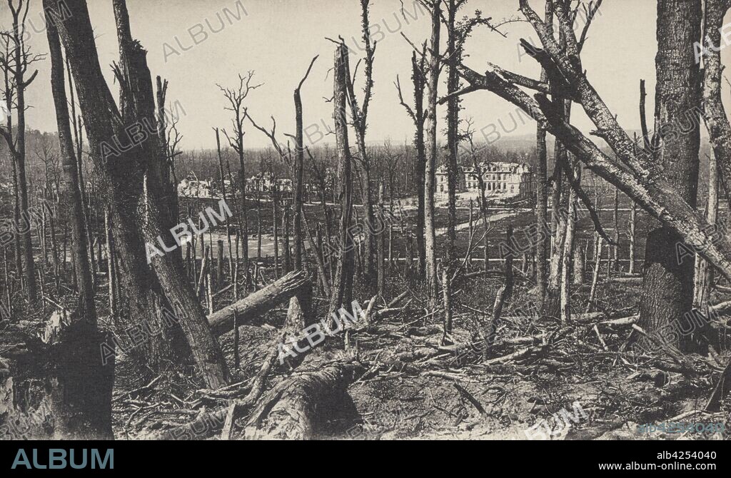 Francia. Primera guerra mundial (1914-1918). Segunda batalla del Aisne. Bosque devastado tras la batalla en el valle de Ailette. Mayo de 1917.