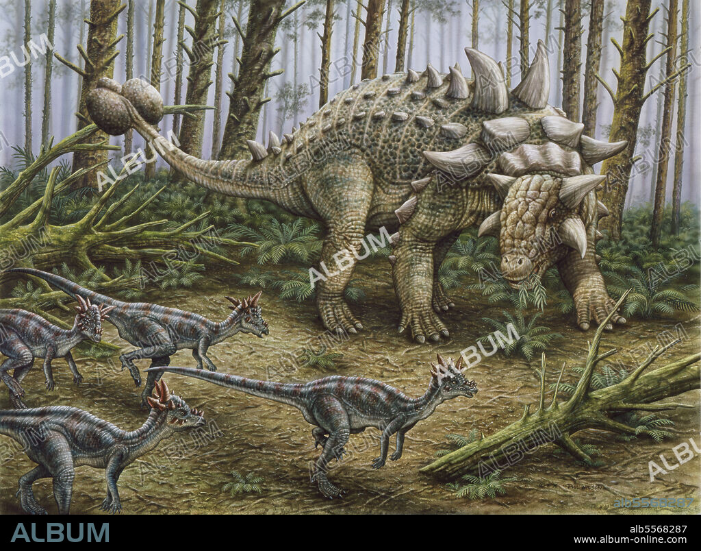 A group of Stygimoloch dinosaurs encounter a Euoplocephalus armored dinosaur.
