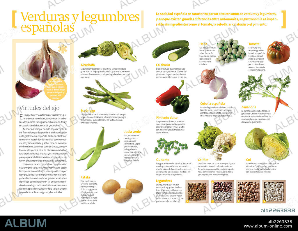 Verduras y legumbres españolas. Infografía sobre las diferentes verduras y hortalizas propias de la cocina española.