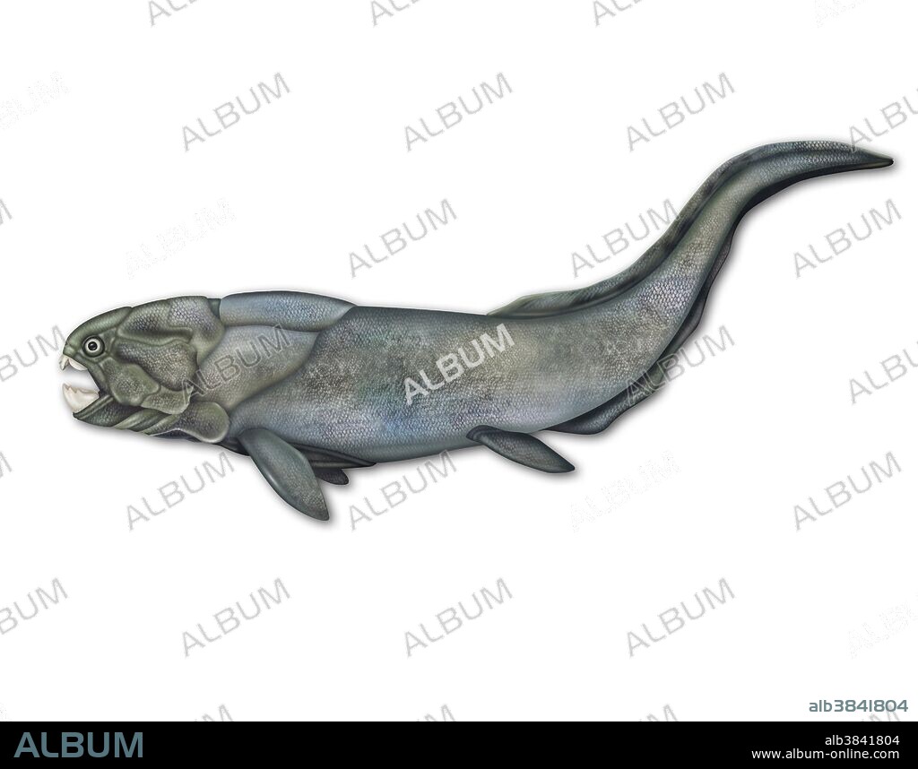 Illustration of a placoderm. Placoderms are an extinct class of armored prehistoric fish, which lived from the Silurian to the end of the Devonian Period. Their head and thorax were covered by articulated armored plates and the rest of the body was scaled or naked, depending on the species.