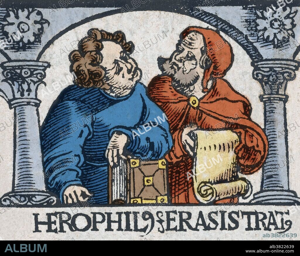 Herophilos (335/280 - 255 BC) was a Greek physician deemed to be the first anatomist. He was the first scientist to systematically perform scientific dissections of human cadavers and recorded his findings in over nine works which are all lost. Erasistratus (304 - 250 BC) was a Greek anatomist and royal physician under Seleucus I Nicator of Syria. Along with fellow physician Herophilos, he founded a school of anatomy in Alexandria. Dissections of human cadavers were banned in most places at the time, except for Alexandria. Celsus in De Medicina and the church leader Tertullian state that Herophilos vivisected at least 600 live prisoners This image has been color-enhanced.