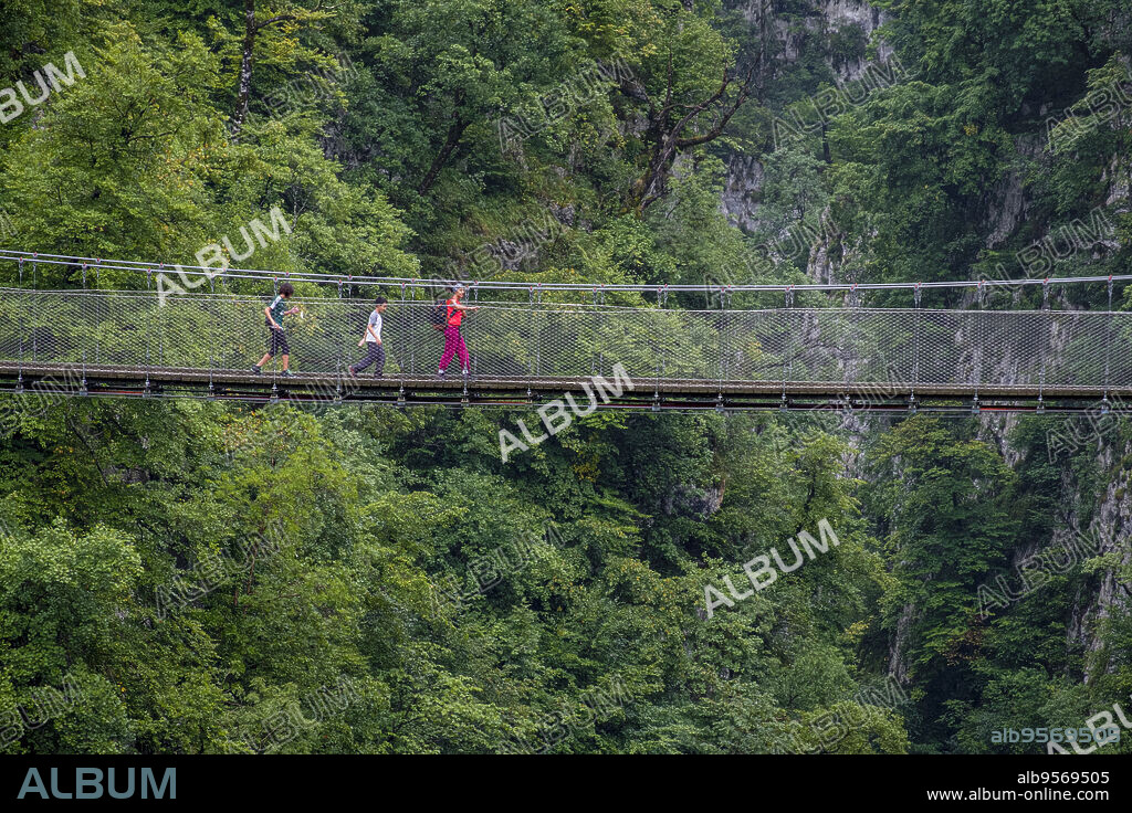 Holtzarte footbridge, Holzarté gorges, Larrau, Aquitaine region, Pyrénées-Atlantiques department, France.