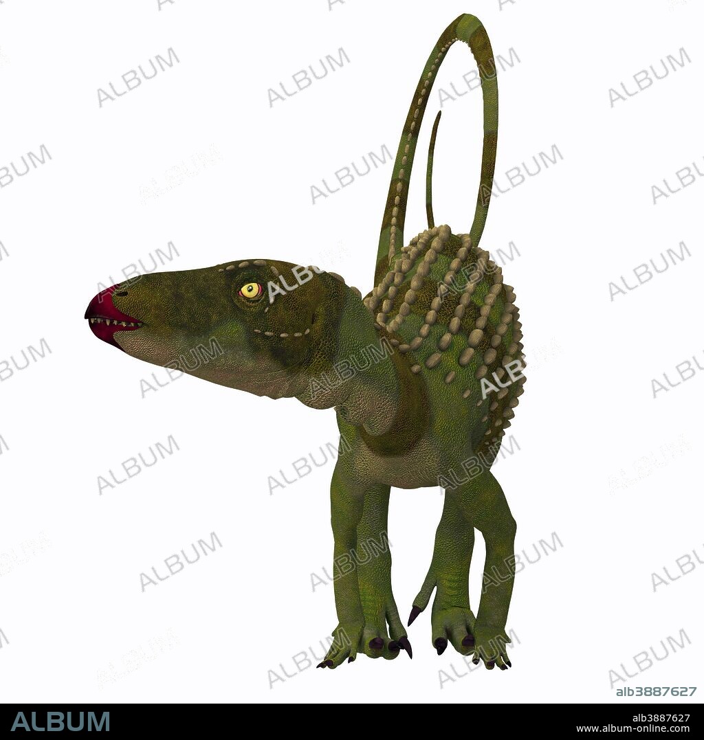 Scutellosaurus dinosaur, front view. Scutellosaurus was an armored herbivore dinosaur that lived in Arizona, USA during the Jurassic Period.