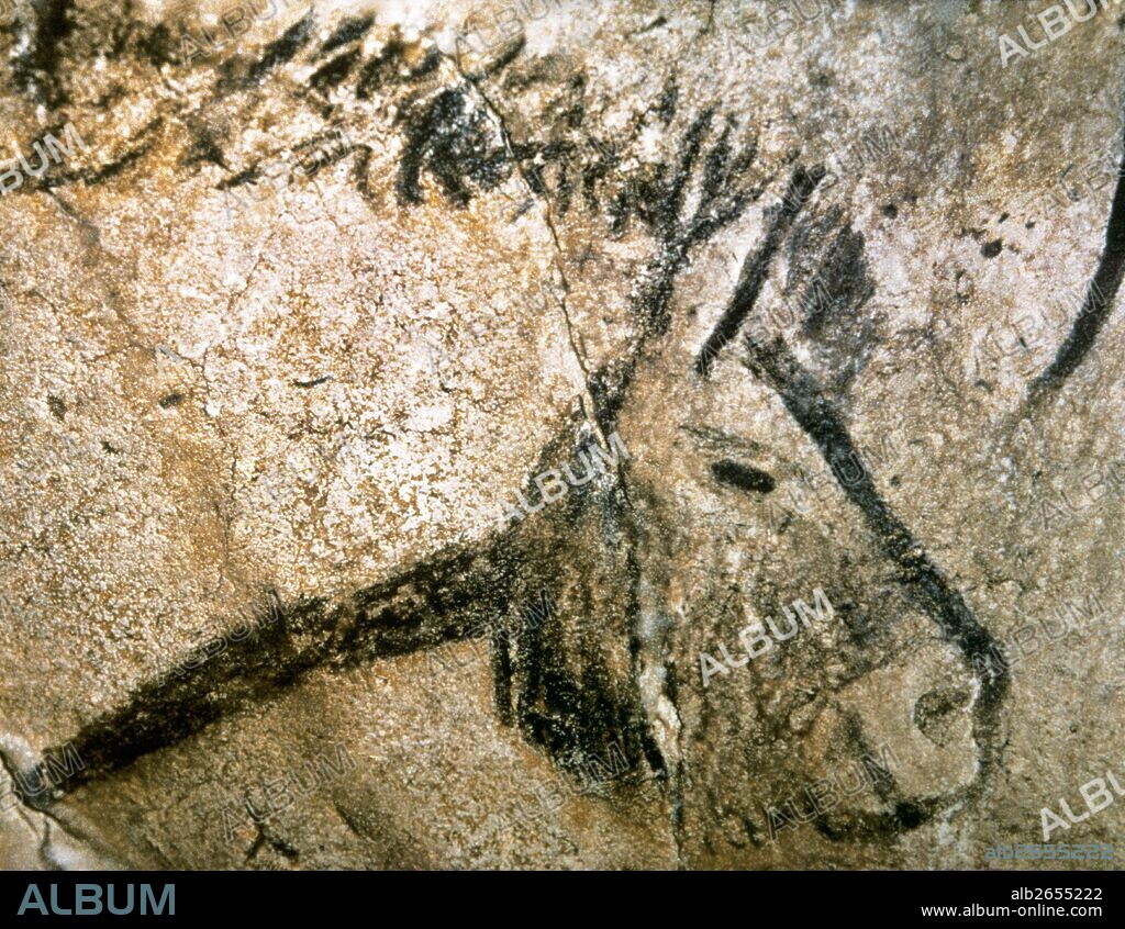 Cave of Niaux. Prehistoric painting. Magdalenian period. Upper Paleolithic. Horse head. France.
