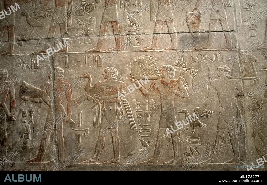 ARTE EGIPCIO. EGIPTO. TUMBA DE PTAH-HOTEP Y AKHTI-HOTEP. V DINASTIA. IMPERIO ANTIGUO. Relieves con la representación del transporte de ofrendas, para la vida al más allá. NECROPOLIS DE SAKKARA. EGIPTO.