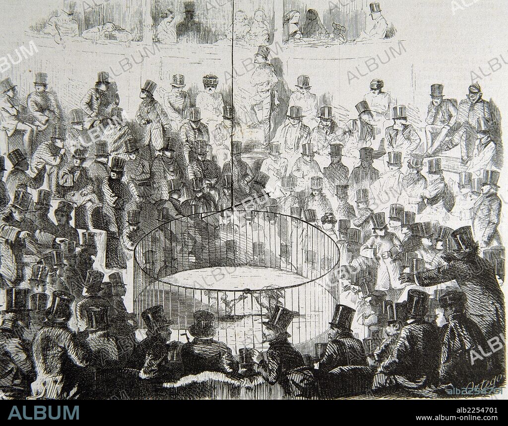 MADRID. PELEA DE GALLOS EN EL PASEO DE RECOLETOS. GRABADO DE EL MUSEO UNIVERSAL , AÑO 1859. MADRID PINTADO.