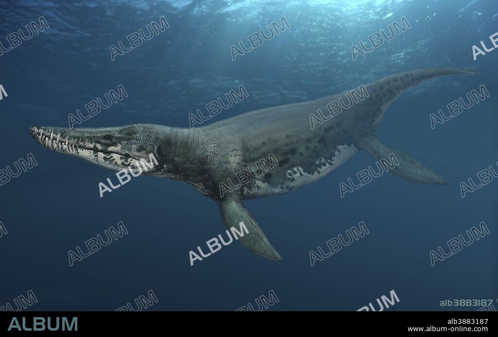 Kronosaurus queenslandicus swimming in prehistoric waters.