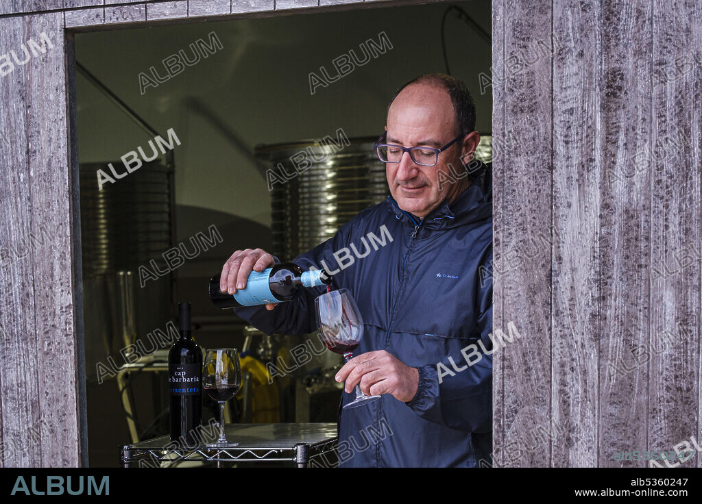 vineyard of the Cap de Barberia winery, Robert, Formentera, Pitiusas Islands, Balearic Community, Spain.