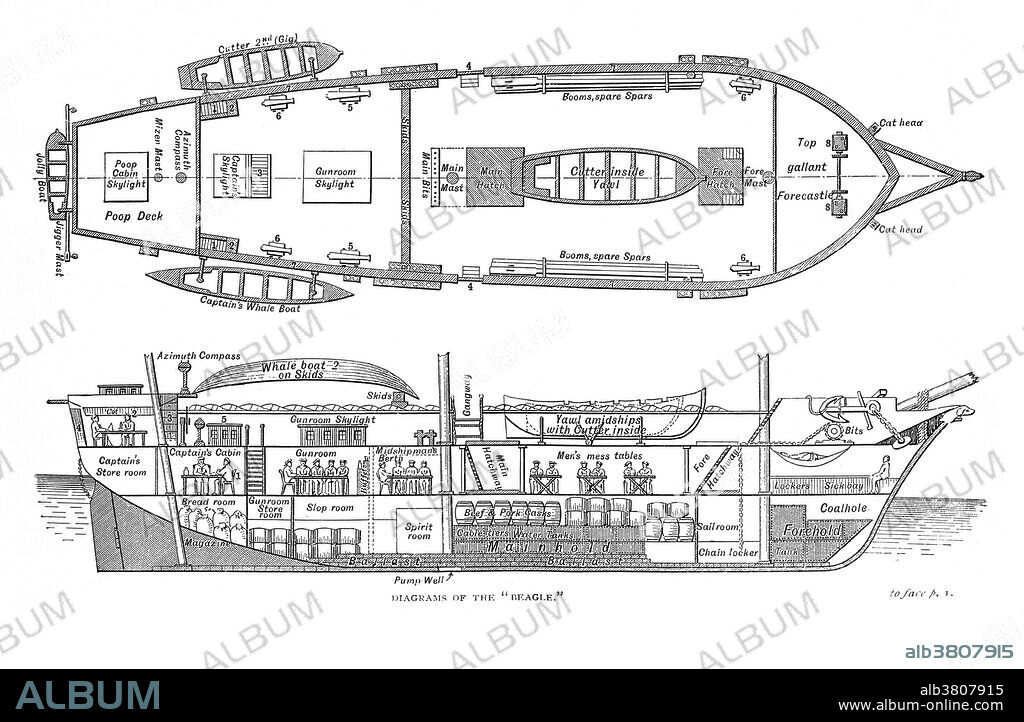 "H.M.S. Beagle Middle Section Fore and Aft 1832" from "The Voyage of HMS Beagle" by Charles Darwin. Charles Darwin (1809-1882) was an English naturalist and geologist. He established that all species of life have descended over time from common ancestors, and in a joint publication with Alfred Russel Wallace introduced his scientific theory that this branching pattern of evolution resulted from a process that he called natural selection, in which the struggle for existence has a similar effect to the artificial selection involved in selective breeding.