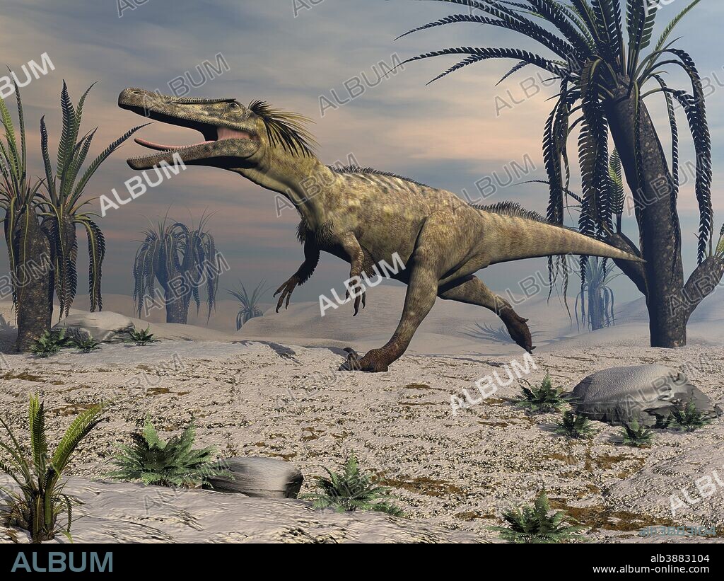 Austroraptor dinosaur walking in the desert.