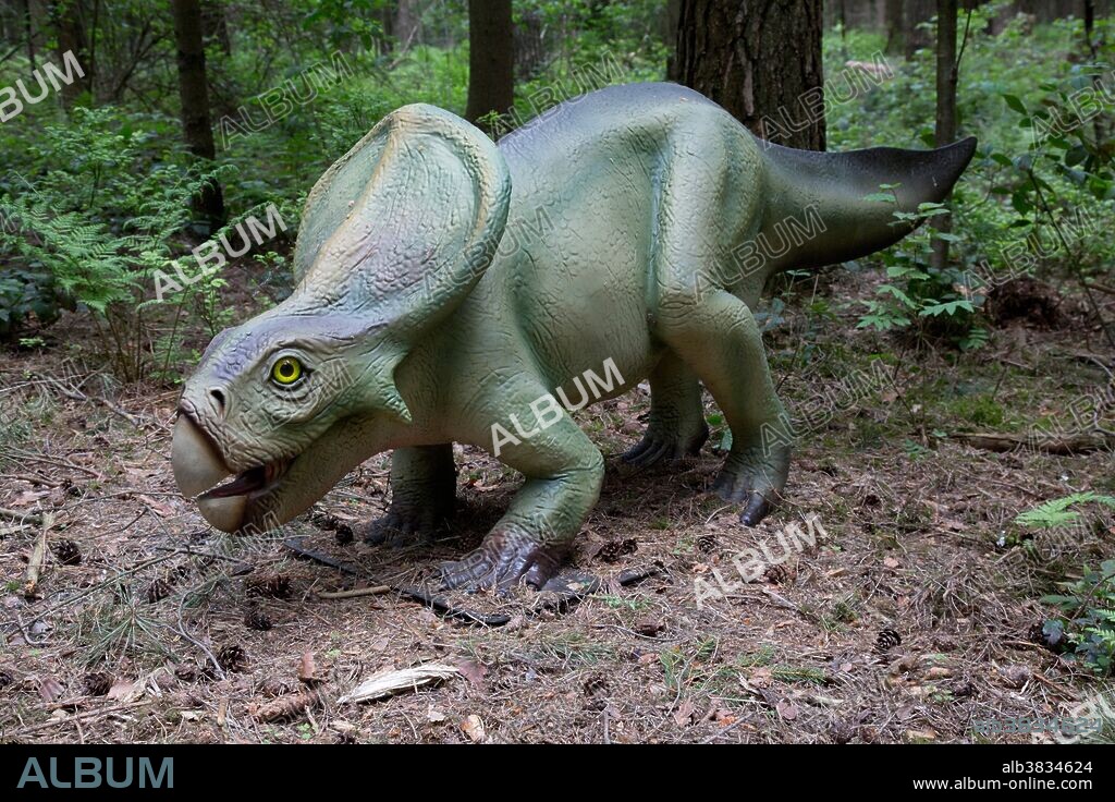 Protoceratops, a sheep-sized herbivorous dinosaur, in Dinosaurier Park Germany. Protoceratops lived in Mongolia during the Upper Cretaceous Period.