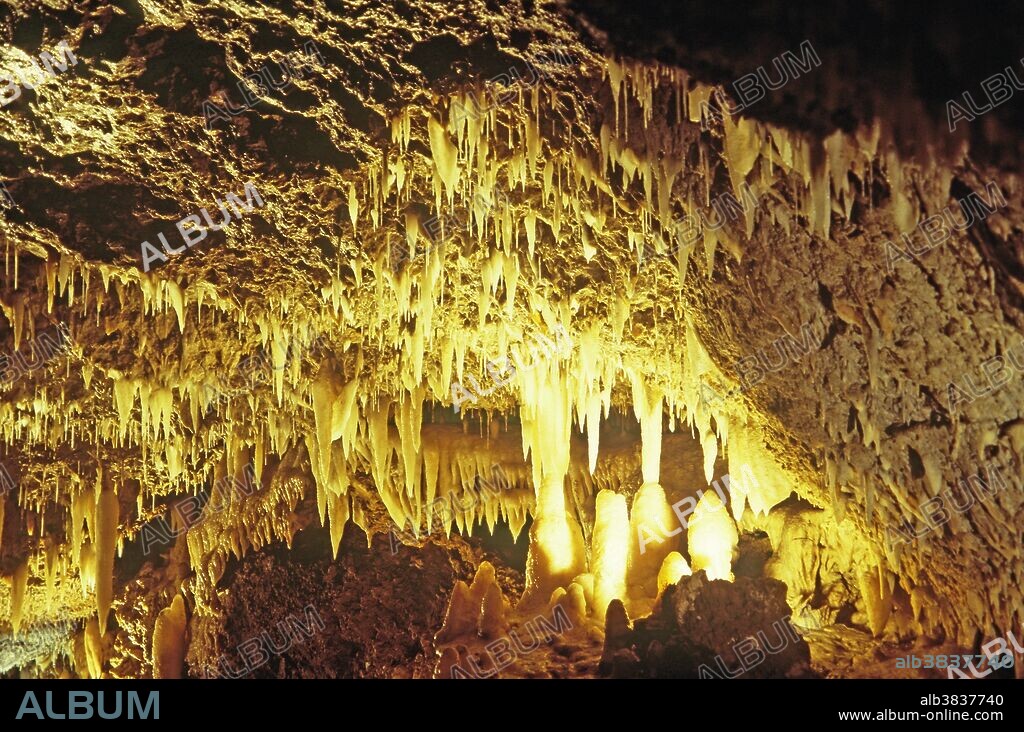 Harrison's Cave, Barbados, natural caves open to the public, stalactites and stalagmites adorn the walls of the caves.