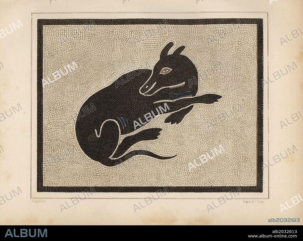 Mosaic picture of a guard dog in the house of Lucius Caecilius Iucundus. Illustration drawn by Discanno and lithographed by Victor Steeger from Emil Presuhn's "Pompeji. Die Neuesten Ausgrabungen von 1874-1881," Weigel, Leipzig, 1882. German archeologist Presuhn (1844-1881) lived in Italy for eight years and, with Mr. Discanno and Miss Amy Butts, made exact copies of many wall paintings that are now lost.