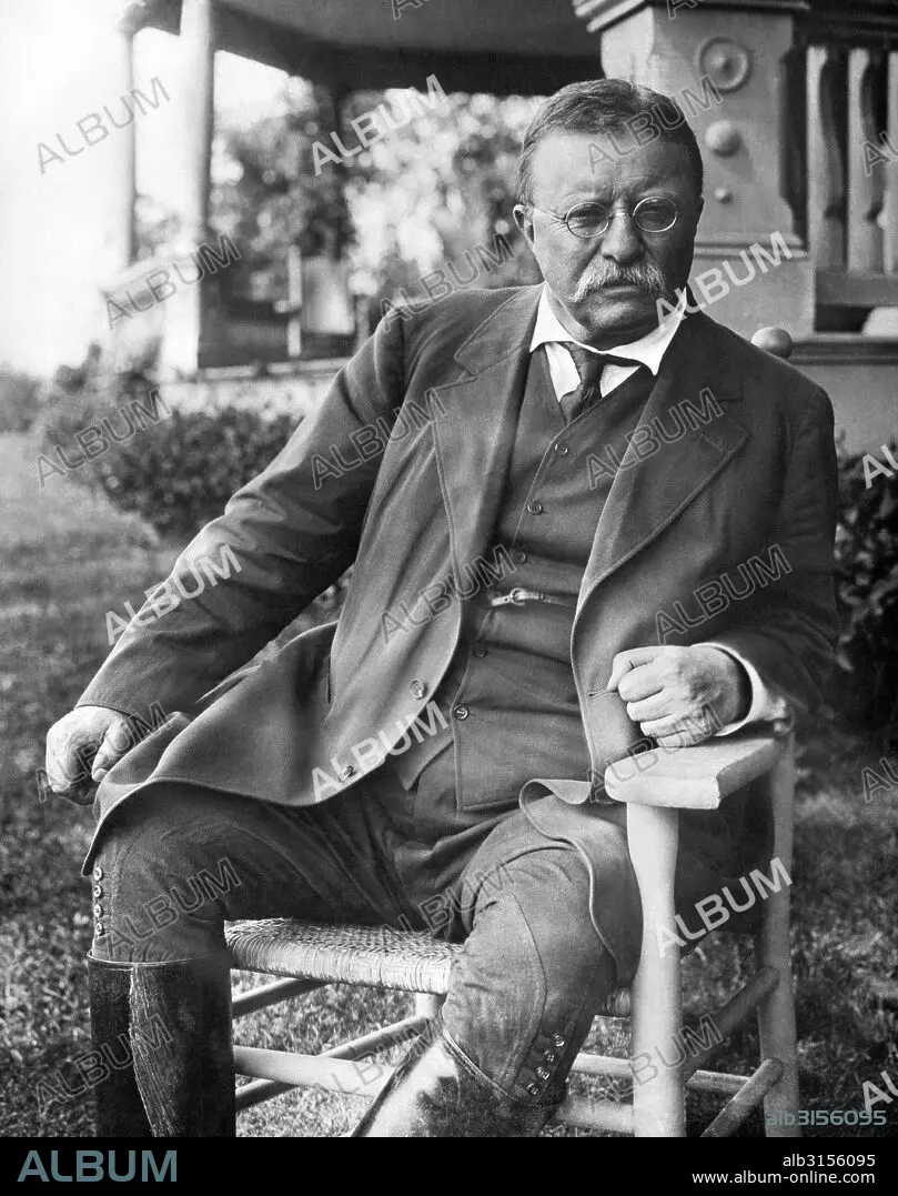 President Theodore Roosevelt - Album alb3156095