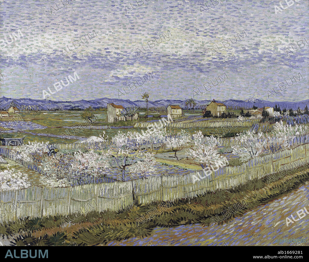 La Crau with Peach Trees in Bloom  1889  Vincent van Gogh (1853-1890/Dutch)  Oil on Canvas  Courtauld Institute and Galleries, London, England.