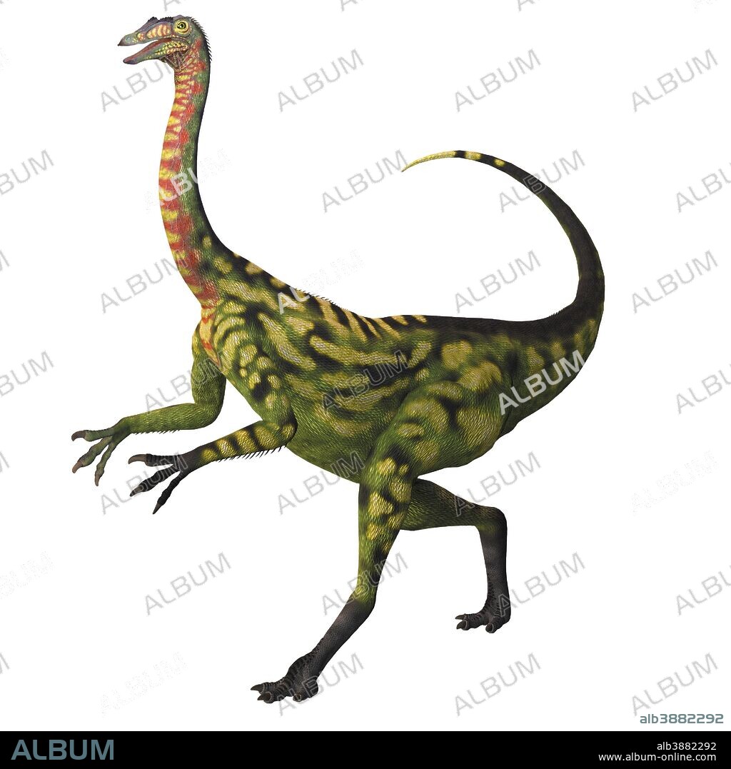 Deinocheirus, a large carnivorous theropod dinosaur of the Cretaceous period.