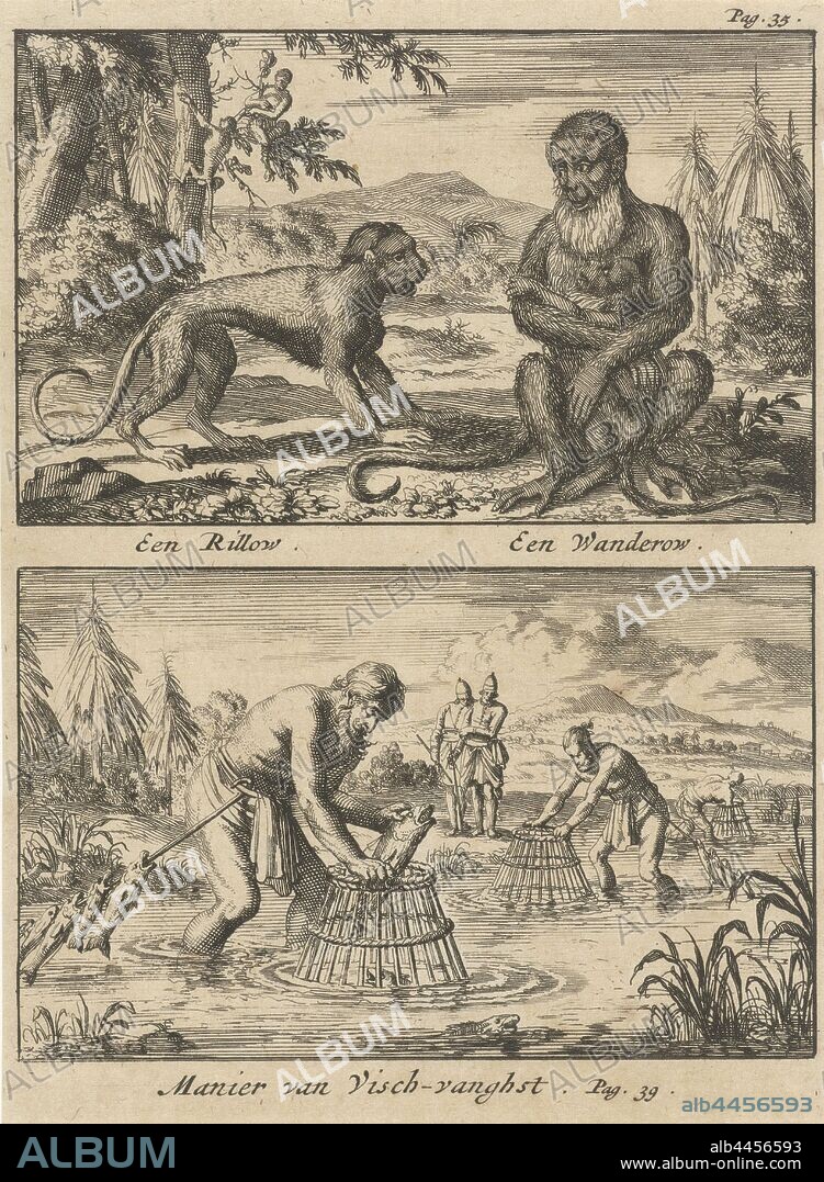 Two monkeys / Fishing with baskets A Rillow and a Wanderow / Way of Visch-vanghst (title on object), Two representations of one plate. Print marked at the top right: Pag. 35, monkeys, apes, fishing (sports), Sri Lanka, Jan Luyken, 1692, paper, etching, h 170 mm × w 125 mm.