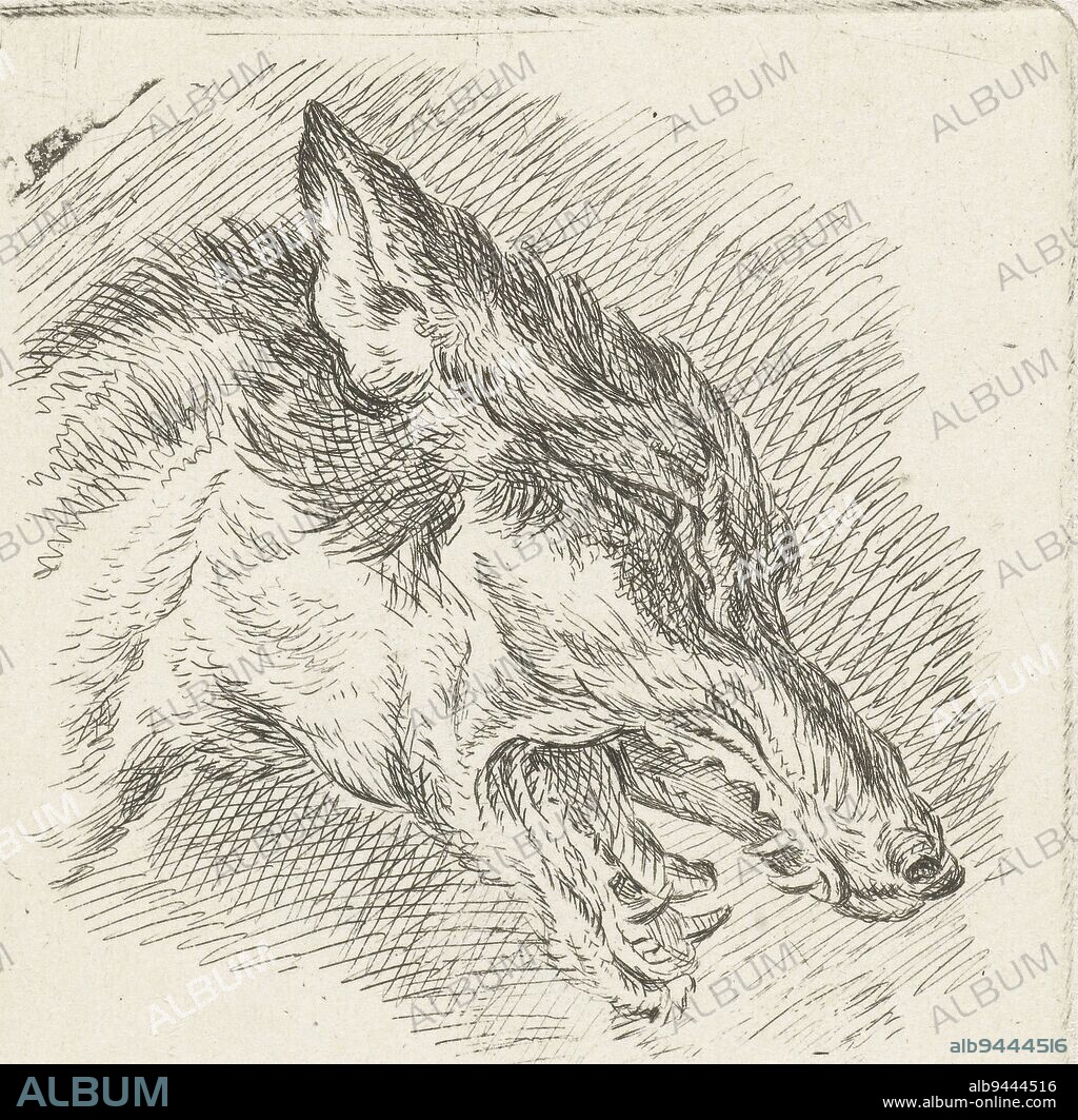 Head of a wolf with open mouth, print maker: Jacobus Cornelis Gaal, (mentioned on object), Johann Elias Ridinger, (mentioned on object), Netherlands, 1850, paper, etching, h 60 mm × w 55 mm.
