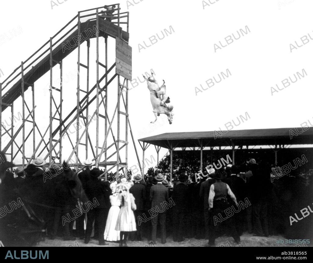 Diving Horse Stunt, 1905
