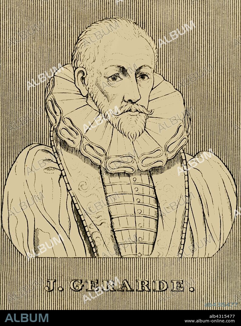 'J. Gerarde', (c1545-1612), 1830. John Gerard or Gerarde, (c1545-1612) English botanist with a large herbal garden in London, author of  Herball, or Generall Historie of Plantes, first published in 1597. From "Biographical Illustrations", by Alfred Howard. [Thomas Tegg, R. Griffin and Co., J. Cumming, London, Glasgow and Dublin, 1830].