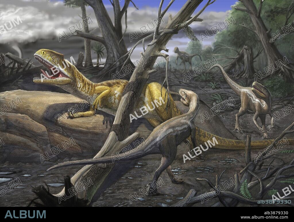 A large carnivore Neovenator salerii has fallen into a trap where he is approached by Eotyrannus lengi, the vultures. The environment has been recently hit by a tornado.