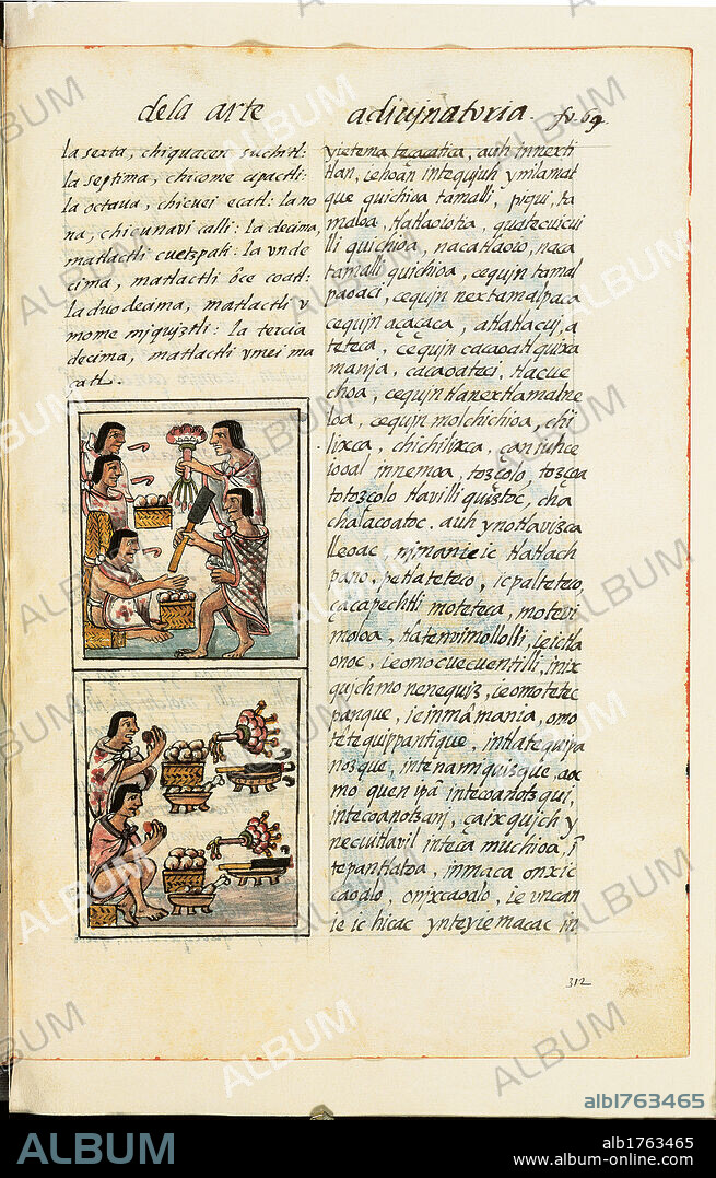 Historia General de las Cosas de Nueva Espaa Aztec Chronicles, by Unknown Artist, 1575-1577 about, 16th Century,. Italy, Tuscany, Florence, Medicean Laurentian Library. All. Musicians. Illuminated miniated page text boxes insets illustrations pictures Mesoamerican natives Aztecs colorful garments clothes dresses mantle cloak wind instruments flageolets flutes percussions drums white black yellow green red. Authorization required for non editorial use.