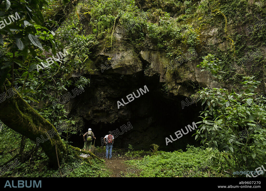 bosque nuboso en las laderas del volcán Tolimán , lago de Atitlán ,Guatemala, Central America.