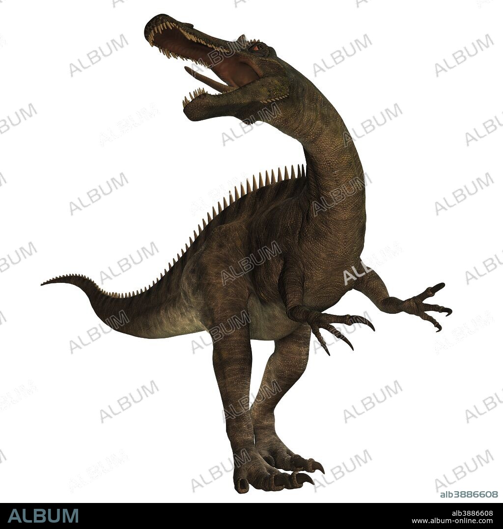 Suchomimus was a large Spinosaurid dinosaur with a crocodile-like set of jaws. It lived 110 to 120 million years ago in the Cretaceous period in Africa, when it was a lush swampy habitat.