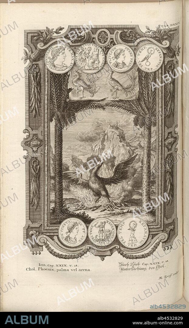 Chol, Phoenix, palma vel arena, Parallel title: Examination of the Chol, Signed: M. Tyroff sculps, copperplate, plate DXXIV, Füssli, Johann Melchior; Tyroff, Martin (sculps.), 1731, Johann Jakob Scheuchzer: Kupfer-Bibel (...). Augspurg und Ulm: gedruckt bey Christian Ulrich Wagner, 1731-1735.