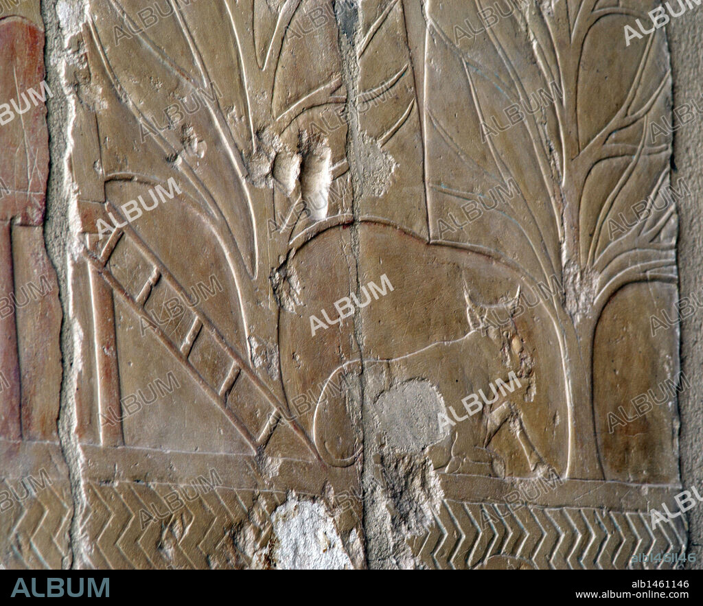 The Land of Punt. Temple of Hatshepsut.  C. 1490 b.C.18th Dynasty. New Kingdom.  Deir el-Bahari. Egypt.