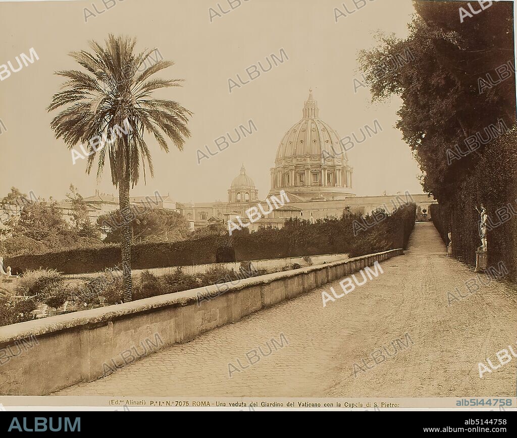 view from the gardens of the Vatican to the dome of St. Peter's, Rome, albumin paper, black and white positive process, image size: height: 19.50 cm; width: 24.80 cm, ROMA - Una veduta del Giardino del Vaticano con la Cupola di San Pietro, travel photography, architectural photography, gardens and parks, dome (architecture), exterior of a church, city, city view (veduta), hist. building, locality, street, palm tree, Vatican City.