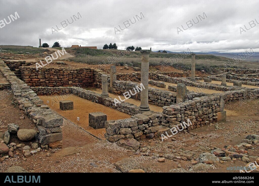 ruinas  de la antigua ciudad celtiberica y romana; restos de casa noble romana.