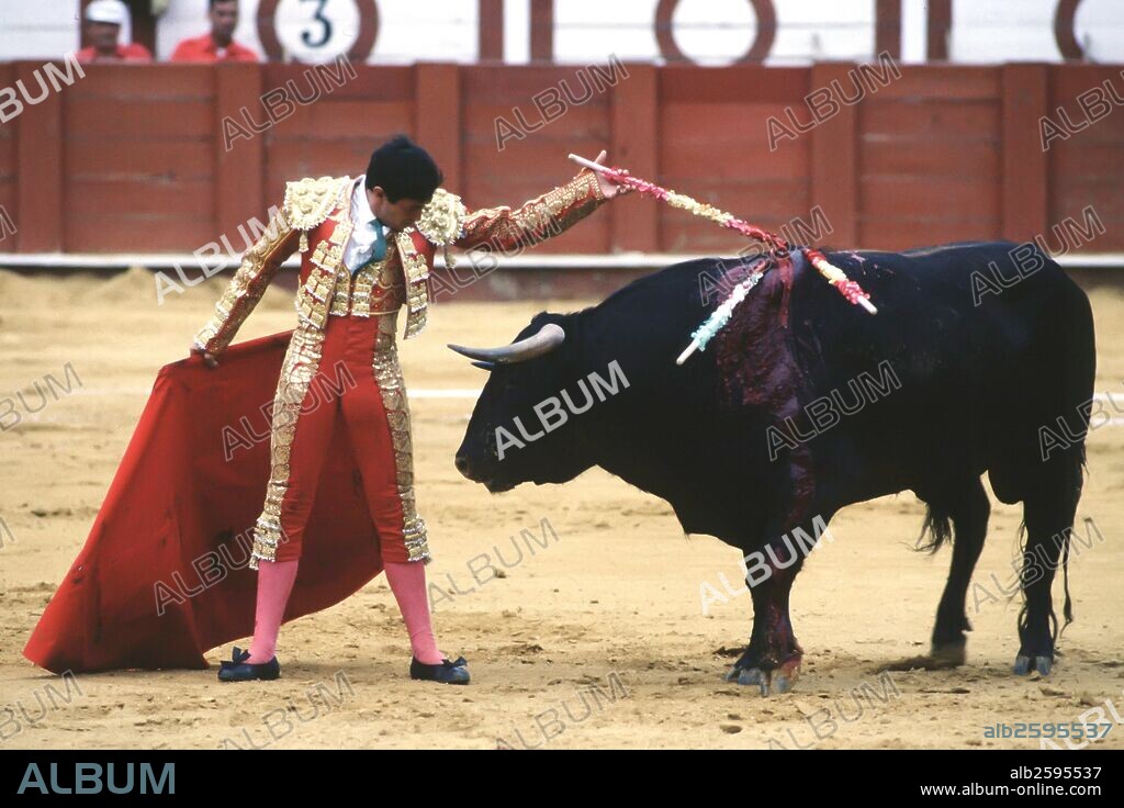 EL TORERO PEDRO GUITIERREZ MOYA " EL NIÑO DE LA CAPEA " DURANTE UNA CORRIDA DE TOROS EN MADRID.