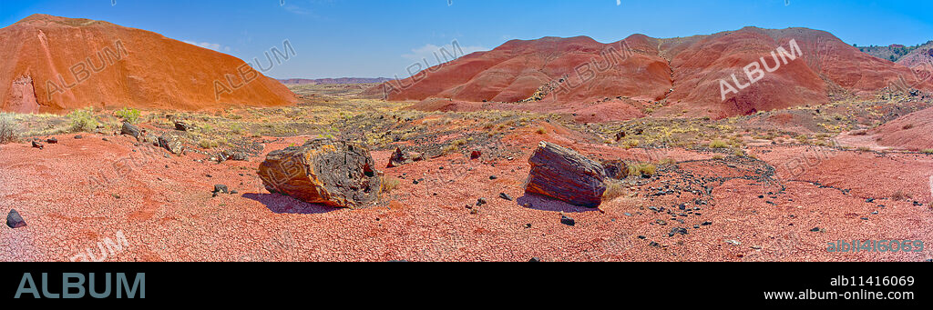 Hills of blood red bentonite clay below Kachina Point in Petrified Forest National Park, Arizona, United States of America, North America.