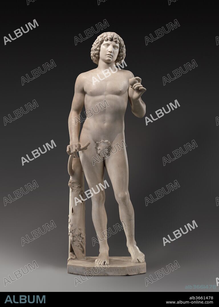Adam. Artist: Tullio Lombardo (Italian, ca. 1455-1532). Culture: Italian, Venice. Dimensions: Overall: 6 ft. 3 1/2 in., 770 lb. (191.8 cm, 349.2697kg). Date: ca. 1490-95.
Tullio Lombardo was a member of a family of sculptors that included his father, Pietro, and brother Antonio. Through training and practice in Venice he developed a thorough understanding of classical art and created some of the first great sculptural statements of the High Renaissance. In a career spanning the years 1475 to 1532, he was known for large-scale narrative reliefs at the basilica of San Antonio in Padua, such as The Miracle of the Newborn Child (1500 - 1504), and sensuous double portraits, such as Young Couple (ca. 1500 - 1510, Kunsthistorisches Museum, Vienna), but his major contributions were monumental wall tombs. Of these, the most famous is the tomb of Doge Andrea Vendramin, and its most forward-looking sculpture, the Museum's Adam, is the first lifesize nude marble statue of the Renaissance.
Grandiose tombs, such as the one carved by Antonio Rizzo for Doge Niccolò Tron, in Santa Maria Gloriosa dei Frari (1476 - 79), began to fill the walls of Venetian churches in the fifteenth century. In another Venetian church, Santa Maria dei Servi, the tomb of Doge Andrea Vendramin (died 1478) was probably erected in the early years of the decade 1490 - 1500, since an account by the chronicler Marino Sanudo mentions that it was under way in 1493.[1] An engraving of the tomb there shows a classicizing triumphal arch towering over the bier of the deceased.[2] Freestanding statues of page boys (damaged; Bode Museum, Berlin) stood above the upper story, which featured statues of the Annunciation separated by high reliefs of the Nativity. [3] Below, the elaborate program included statues of virtues, warrior saints, and, in niches on either side, Adam and Eve. In the early nineteenth century the whole tomb was transferred to the church of Santi Giovanni e Paolo, Venice, where it can be seen today, with various alterations and minus the statues of the pages and the first man and woman. About the time of the tomb's transfer, the statues of Adam and Eve were moved to the Palazzo Vendramin-Calergi on the Grand Canal, the home of generations of the Vendramin family. After the building was purchased in the mid-nineteenth century by the duchesse de Berry, Adam moved through a succession of illustrious collections before the Museum acquired it in 1936. 
Originally, Adam occupied a prime position in the wall monument to the left of the doge's bier, just above a viewer's eyes. The statue was one of many elements of an elaborate tomb, yet it has extraordinary force and grace in its own right. This biblical figure stands next to an ivy-covered tree trunk, his weight shifted to his right leg. He steadies himself on a lopped-off branch of the tree with his right hand, while proffering the apple signifying the Fall of Mankind with his left. A powerful physique is implied by his chest and arm muscles. The hair is a downturned bowl of sharply rendered locks framing a face with a serious --  even drawn --  expression. There is a gentle sway to the contrapposto of the body but at the same time a stiffness to the stance; the sensuous sheen of flesh is countered by hip joints and dorsal muscles rendered so perfectly that they approach abstraction. Wendy Stedman Sheard has described well this tension in Adam's body and presence, noting particularly the contrast between his dreamy sensuality --  with its roots in antiquity and its connection to the reveries imagined by Venetian painters like Giorgione --  and the cool, somewhat aloof dignity.[4] She noted the classical sources that underlie Tullio's conception: the rigor of the Doryphorus for the pose and the barrel-chested male beauty of the Antinous. The work that Sheard thought inspired Tullio most profoundly is a Roman copy of a Greek Apollo of the fifth-century b.c. (Palazzo Ducale, Mantua). Sarah Wilk has suggested that a revival of interest among Venetian Renaissance sculptors in late classical ivory carvings contributed to Adam's rigid posture. [5] 
Though not unprecedented, the inclusion of Adam and Eve in a tomb program is unusual.[6] Eberhard Ruhmer has even proposed that Adam belongs to a different commission and places it a decade later than the generally accepted date of about 1490 - 95. [7] In her comprehensive analysis of the Vendramin tomb, however, Sheard convincingly explains their presence as an example of the "Fortunate Fall," the idea that the Fall of Mankind generated the possibility of salvation and the triumph of Christianity, which is symbolized by the triumphal arch above them.[8] The paradise in which Adam and Eve dwell, evoked by abundant floral motifs carved across the tomb's reliefs, serves as a metaphor for the afterlife of the deceased. 
On stylistic grounds, Wilk agreed that Adam and Eve were included in the Vendramin tomb and confirmed that they date in the 1490s, noting a number of connections between Adam and other works by Tullio of that period.[9] A few scholars have doubted that Adam could have been created so early in Tullio's career, but Wilk countered that the forward-looking nature of their sculpture explains precisely why the Lombardo family was so influential on the greatest sculptors of the next generation, Michelangelo and Andrea Sansovino.
Tragically, the pedestal supporting Adam in a Museum gallery collapsed in October 2002 and the statue fell, breaking into several pieces. A painstaking and lengthy analysis of the marble ensued, and the application of such techniques as laser scanning and finite element analysis to the fragments has yielded important new data on the physical stresses inherent in the stone, making it possible to choose the optimal methods for its repair and conservation. With the help of specially commissioned tests of adhesives and pins, the restoration of the sculpture is near completion. The scientific and conservation studies that this restoration necessitated will be published as a compendium of information for conservators. When conservation and cleaning are complete, the statue will be installed in a new gallery devoted to the Venetian Renaissance in a niche that approximates the height of the one on the Vendramin tomb.
[Ian Wardropper. European Sculpture, 1400-1900, in the Metropolitan Museum of Art. New York, 2011, no. 9, pp. 36-39.]
Footnotes:
[1] Marino Sanudo. De origine, situ et magistratibus Urbis Venetae. Venice, 1493. [Reprint ed., edited by Angela Caracciolo Aricò. Collana di testi inediti e rari 1. Milan, 1980.] Giovanni Mariacher. "Tullio Lombardo Studies." Burlington Magazine 96 (December 1954), pp. 366-74, proposed a later dating.
[2] Monumento di Andrea Vendramin che stava nella chiesa dei Servi in Venezia, drawn by Borsato (published in Cicognara 1813 - 18, vol. 2, pl. xlii); see Wendy Stedman Sheard. "The Tomb of Doge Andrea Vendramin in Venice by Tullio Lombardo." 3 vols. PhD diss., Yale University, New Haven, 1971, vol. 3, pl. 96.
[3] For the pages in the attic of the tomb, see Michael Knuth. "I Paggi del Monumento Vendramin nel museo di Berlino: Storia e stato di conservazione." In Tullio Lombardo, scultore e architetto nella Venezia del Rinascimento: Atti del Convegno di Studi, Venezia, Fondazione Giorgio Cini, 4-6 aprile 2006, edited by Matteo Ceriana, pp. 15-22. Verona, 2007.
[4] Sheard 1971, vol. 1, pp. 168 - 73. 
[5] Sarah Wilk. The Sculpture of Tullio Lombardo: Studies in Sources and Meaning. Outstanding Dissertations in the Fine Arts. New York, 1978, p. 22.
[6] Adam and Eve are part of other Venetian tomb programs of the period, such as the Arco Foscari in the Palazzo Ducale, Venice, of about 1485.
[7] Eberhard Ruhmer. "Antonio Lombardo: Versuch einer Charakteristik." Arte veneta 28 (1974), pp. 39-74, p. 54.
[8] Sheard 1971, vol. 1, pp. 215 - 22.
[9] Wilk 1978, pp. 20 - 24.