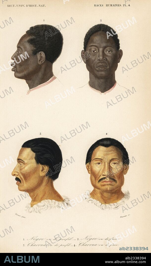 Face and profile of an African man, and face and profile of a Charrua man, extinct people of Uruguay. Probably one of four Charrua exhibited in Paris in 1831, perhaps Vaimaca-Piru Sira. Handcolored engraving by Fournier after an illustration by Werner from Charles d'Orbigny's Dictionnaire Universel d'Histoire Naturelle (Dictionary of Natural History), Paris, 1849.