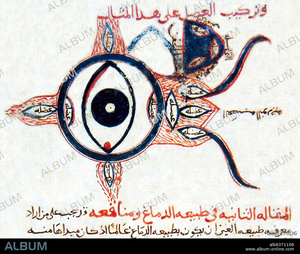 Hunayn ibn Ishaq ( Latin: Iohannitius) (809 873) was a famous and influential scholar, physician, and scientist of Nestorian Arab Christian descent. He and his students transmitted their Syriac and Arabic translations of many classical Greek texts throughout the Islamic world, during the apex of the Islamic Abbasid Caliphate.<br/><br/>. Hunayn ibn Ishaq was the most productive translator of Greek medical and scientific treatises in his day. He studied Greek and became known among the Arabs as the 'Sheikh of the translators'. He mastered four languages: Arabic, Syriac, Greek and Persian.