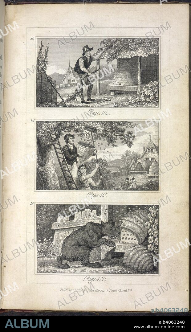 MRS C. JOHNSTONE I. Beekeeping. A dog disturbing a beehive. Scenes of Industry displayed in the Bee-Hive and the Ant-Hill. John Harris: London, [1829?]. Source: RB.23.a.1597, 114. Language: English.