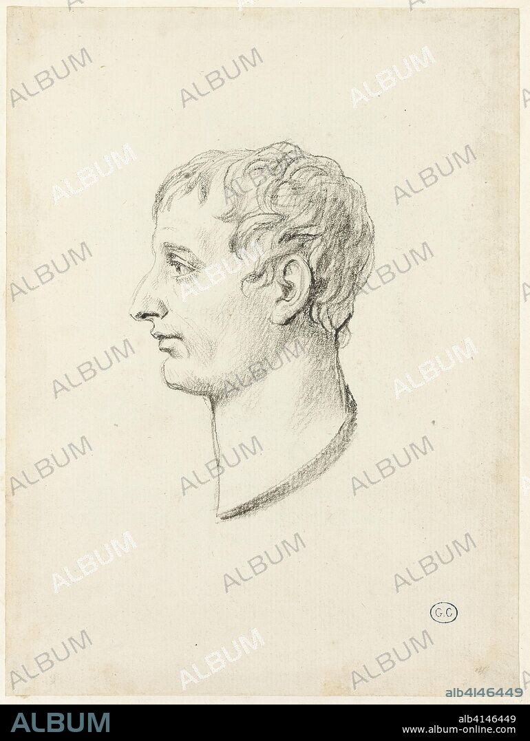 Profile of Napoleon. Jacques Louis David; French, 1748-1825. Date: 1805-1815. Dimensions: 185 × 138 mm. Black chalk, with touches of black crayon, on off-white laid paper, edge mounted on cream wove card. Origin: France.