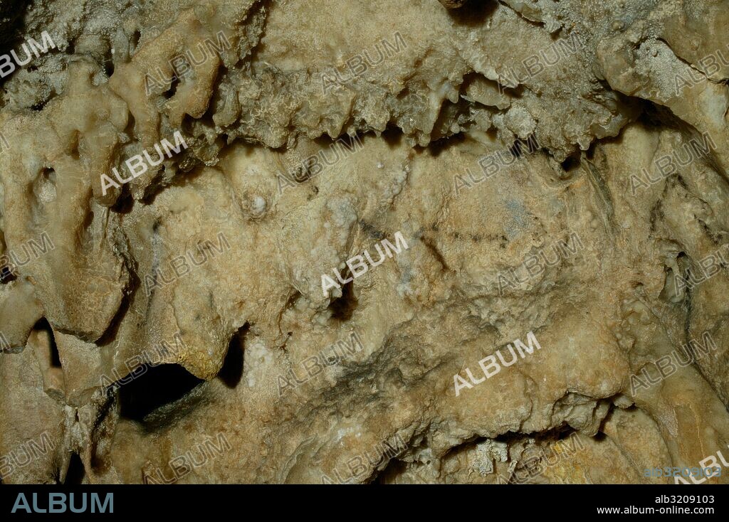 CUEVA DE SANTIMAMIÑE. PINTURAS. CONJUNTO DE ANIMALES CONTORNEADOS EN NEGRO. ESPELEOTEMA.  VIZCAYA, PAIS VASCO, ESPAÑA.
