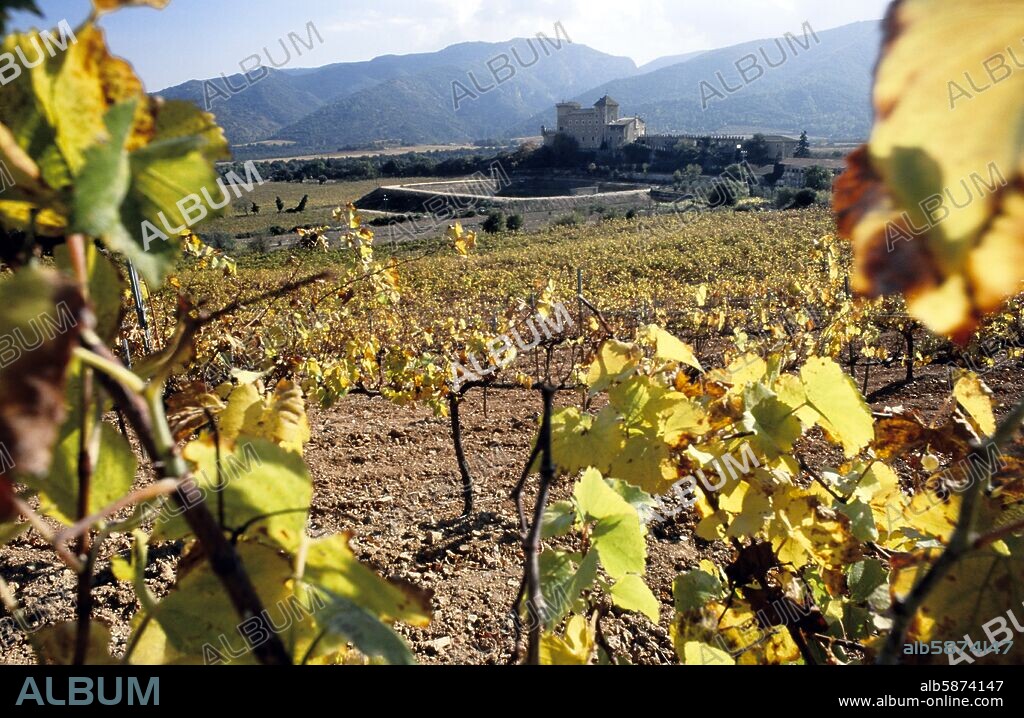 Riudabella, Castillo y viñedos (Conca de Barberà).